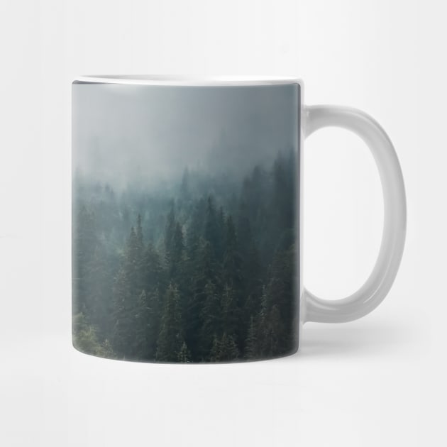 Misty fir forest by psychoshadow